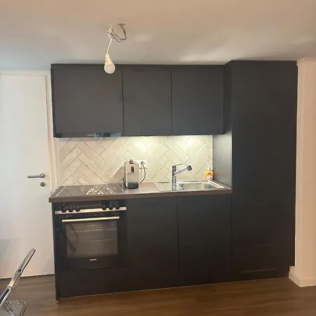 Apartment Modern In Quiet Area St. Gallen